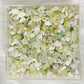 🎄 🎅 Sue 🎅🎄 DIY Crystal Chips ❉